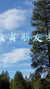 微商朋友圈