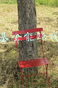 买基金能赚钱吗