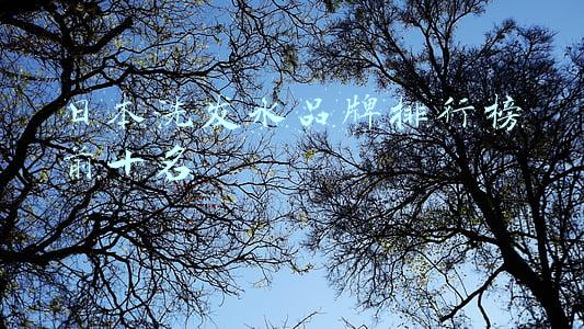 日本洗发水品牌排行榜前十名