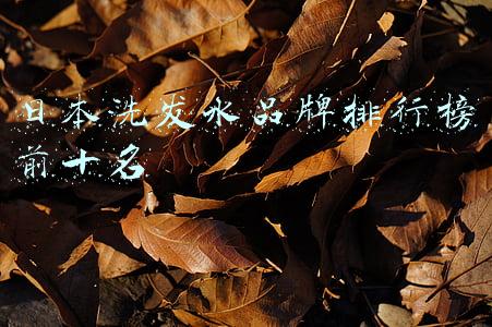 日本洗发水品牌排行榜前十名