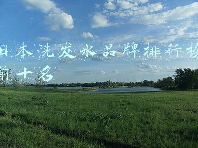 日本洗发水品牌排行榜前十名