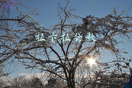 拉卡拉贷款