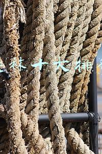 防臭袜十大排行榜