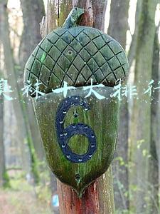 防臭袜十大排行榜