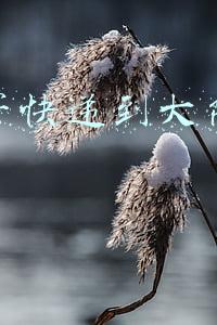 香港寄快递到大陆多少钱