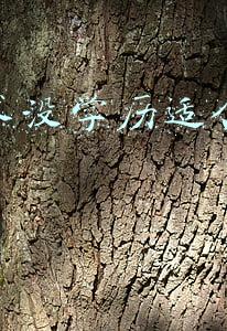 没技术没学历适合什么工作