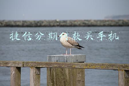 捷信分期付款买手机
