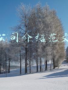 公司介绍范文