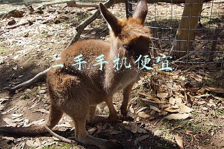 二手手机便宜