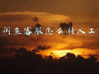 闲鱼客服怎么转人工