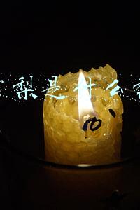 雪梨是什么梨