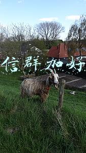 微信群加好友