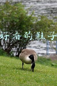好看的鞋子