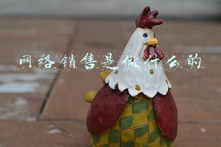 网络销售是做什么的