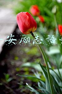 微商早安励志语录图片