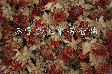 苏宁物流查询单号查询(让包装变得“更瘦”“更绿”邮政快递行业包装回收调查)