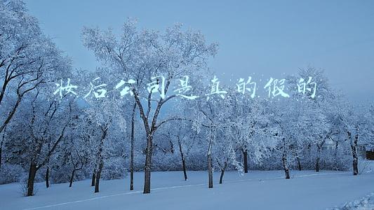 妆后公司是真的假的