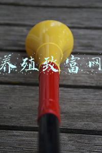 养殖致富网
