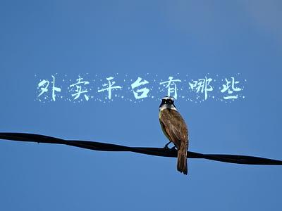 外卖平台有哪些