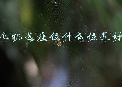 飞机选座位什么位置好