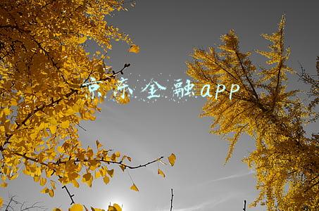 京东金融app