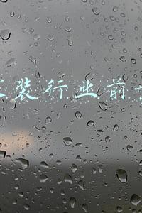 家装行业前景分析(2022-2028年中国传统家装行业深度研究与发展前景报告)