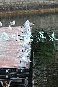 尺寸换算表