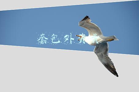 套包外资费