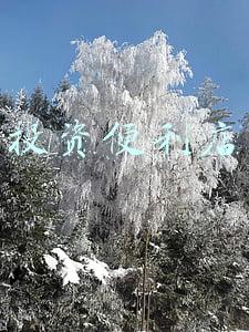 投资便利店