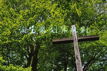 淘宝聚划算规则