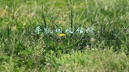 手机回收估价