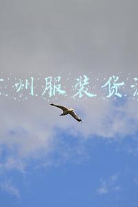 广州服装货源