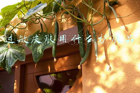 过敏皮肤用什么护肤品