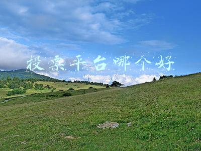 微信投票平台哪个好(微信第三方免费投票平台哪个好)