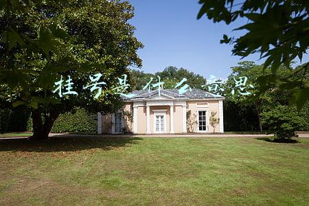挂号是什么意思