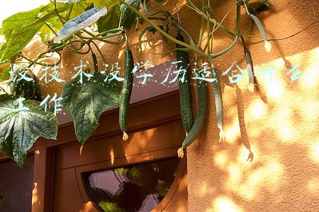 没技术没学历适合什么工作