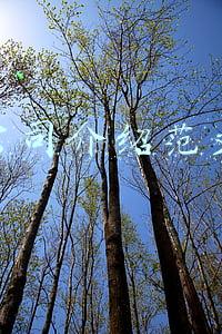 公司介绍范文