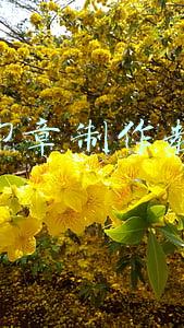 ps印章制作教程