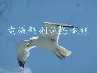 卖海鲜利润怎么样