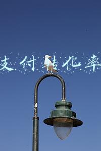 支付转化率