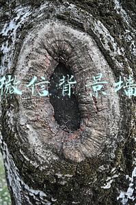 微信背景墙