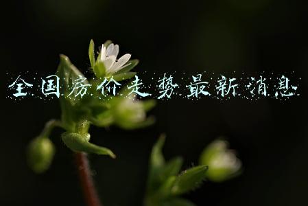 全国房价走势最新消息论坛(中指研究院：1月全国百城新建住宅平均价格16179元/平 环比下跌0.01%)