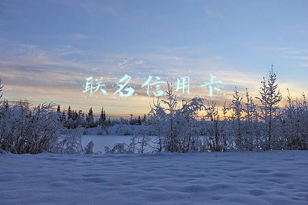 联名信用卡