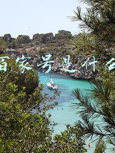 百家号是什么