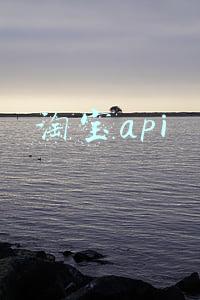 淘宝api