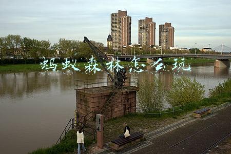 蚂蚁森林怎么玩
