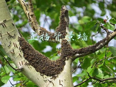 直播背景墙