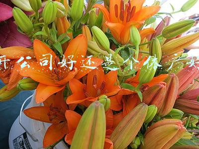 注册个体户好还是公司好(注册是个体户好还是公司好？)