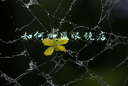 如何加盟眼镜店