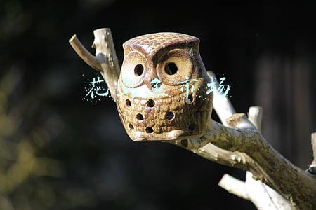 花鸟鱼市场